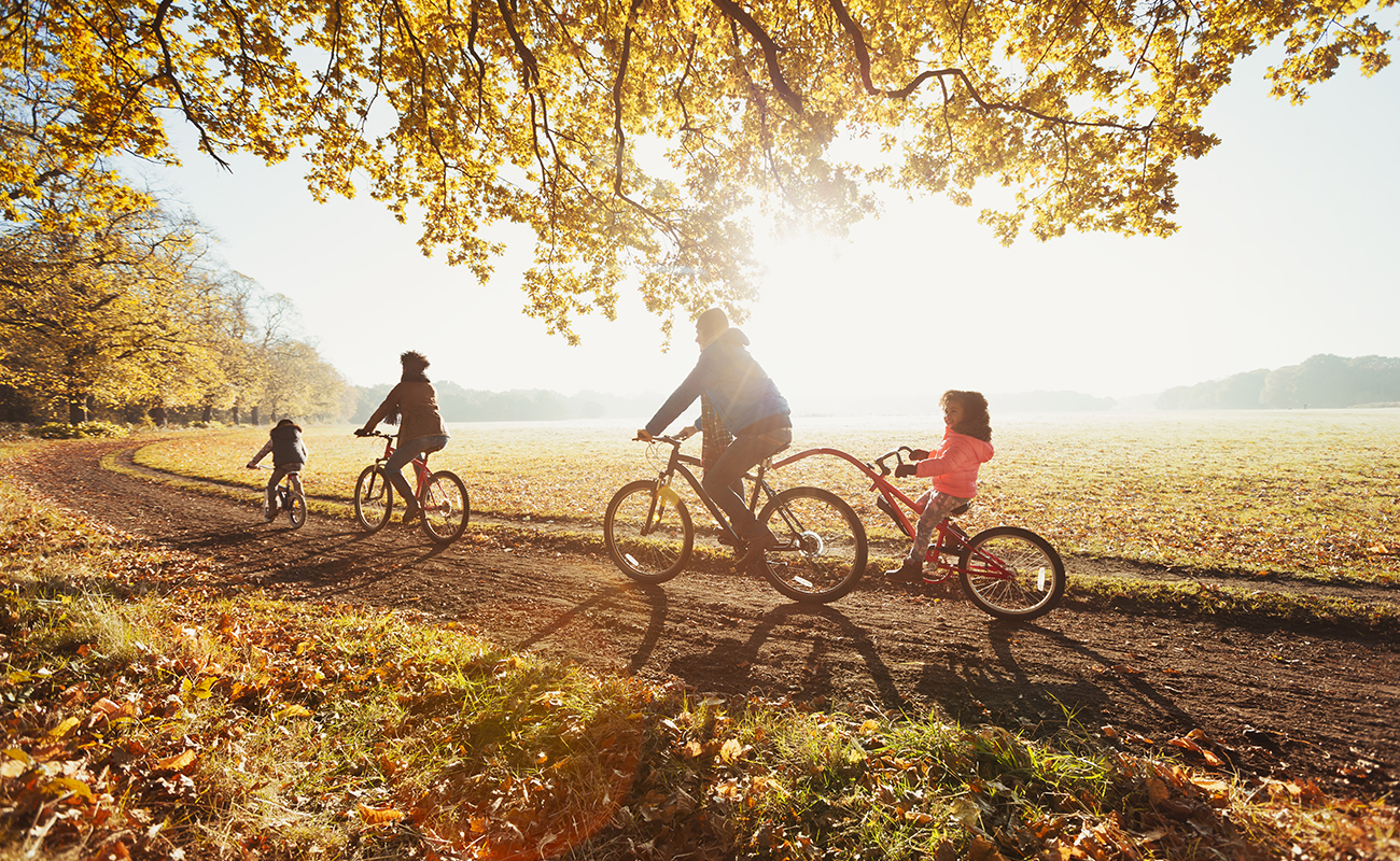 여유로운 힐링자연